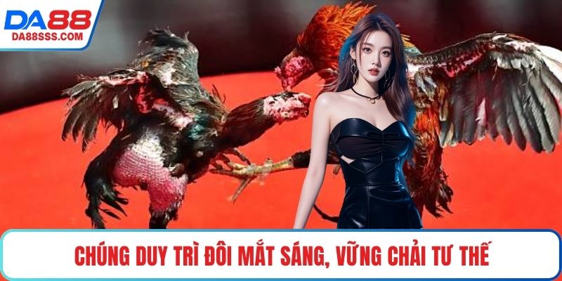 Chúng duy trì đôi mắt sáng, vững chải tư thế