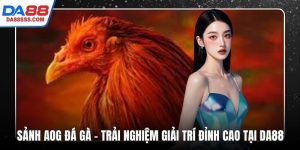 Sảnh AOG Đá Gà – Trải nghiệm giải trí đỉnh cao tại DA88